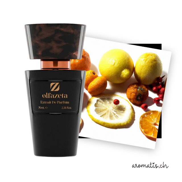 Unisexparfüm inspiriert von Silver Mountain - Creed