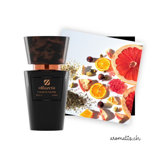 Herrenparfüm inspiriert von Terre d'Hermès - Hermès