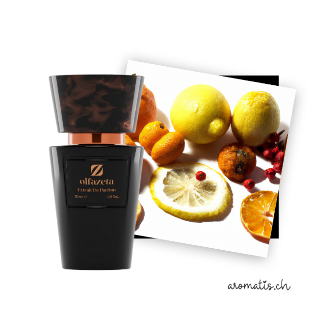 Unisexparfüm inspiriert von Silver Mountain - Creed