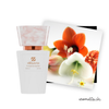 Damenparfüm inspiriert von Dolce - Dolce & Gabbana
