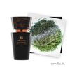Herrenparfüm inspiriert von Acqua di Sale - Profumum Roma