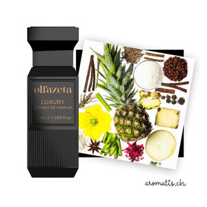 Luxury Herrenparfüm inspiriert von X for Men – Clive Christian - Chogan - Extrait de Parfum - aromatis.ch